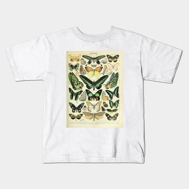 Adolphe Millot Arthropodes Insects papillons Chart Illustration Butterflies Kids T-Shirt by CONCEPTDVS